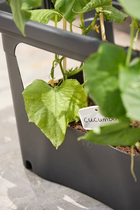 green basics stack & grow large living black